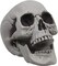 Life Size Skeleton Skull for Halloween Decor Graveyard Outdoor White